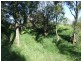 L11 Pierce Creek Road, Emu Creek QLD 4355