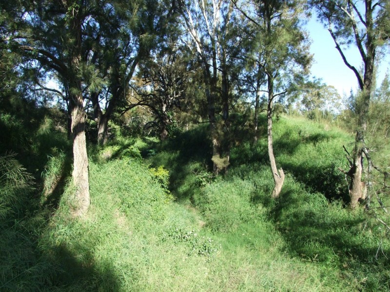L11 Pierce Creek Road, Emu Creek QLD 4355