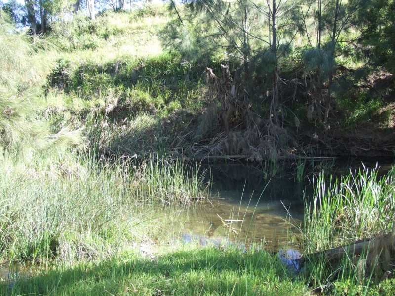 L11 Pierce Creek Road, Emu Creek QLD 4355