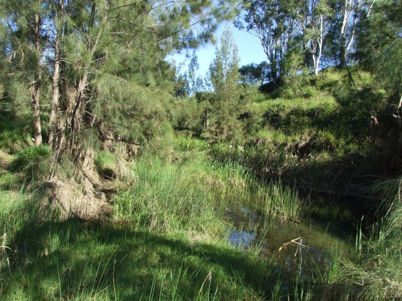 L11 Pierce Creek Road, Emu Creek QLD 4355