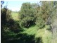 L11 Pierce Creek Road, Emu Creek QLD 4355