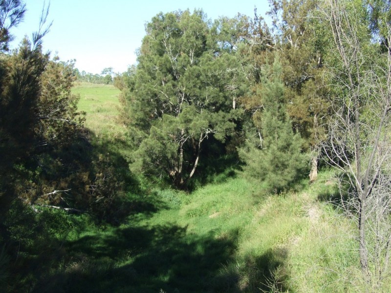 L11 Pierce Creek Road, Emu Creek QLD 4355