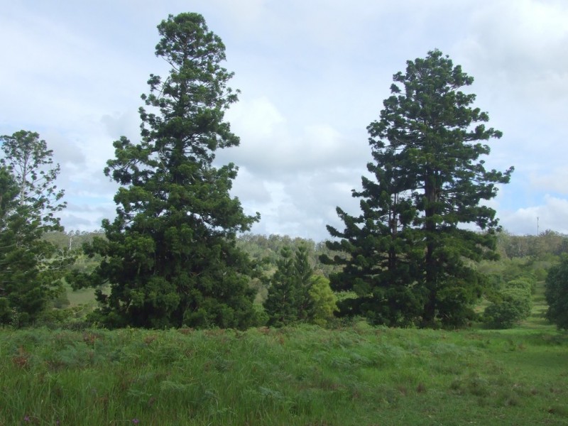 L47 Christy Road, Ravensbourne QLD 4352