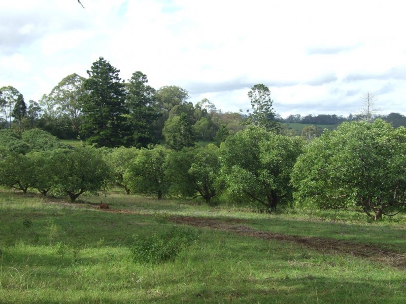 L47 Christy Road, Ravensbourne QLD 4352