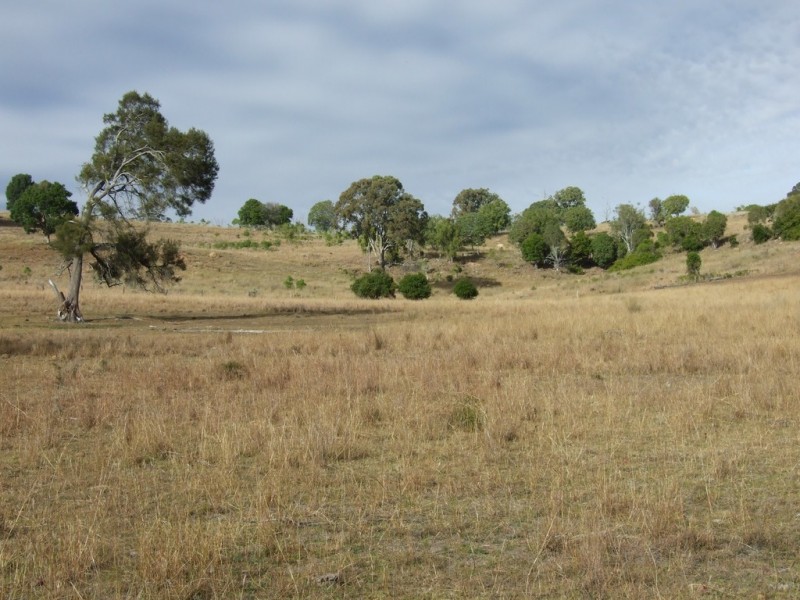 L1 and 2/55 Tarpaulin Road, Haden QLD 4353