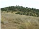 L1 and 2/55 Tarpaulin Road, Haden QLD 4353