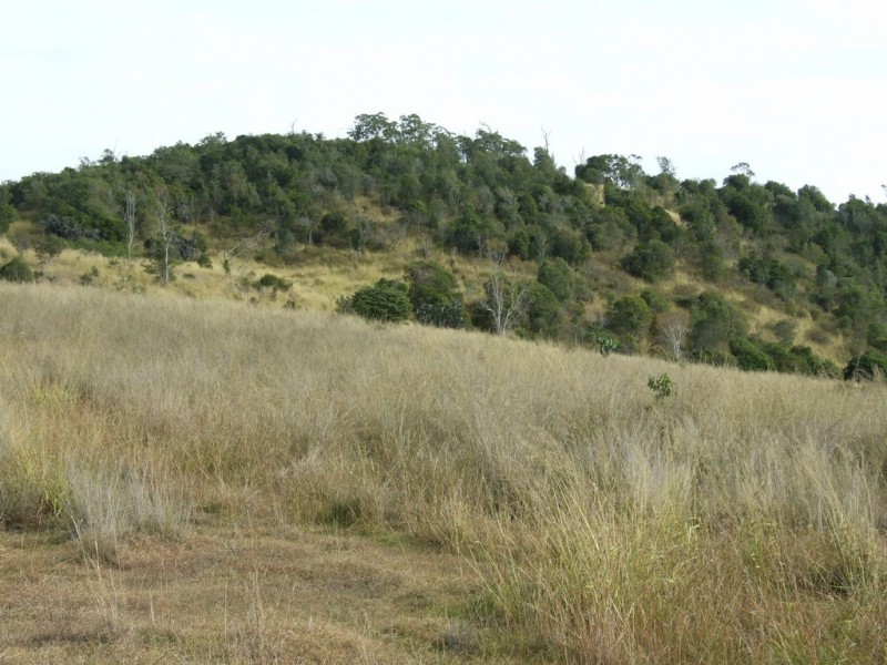 L1 and 2/55 Tarpaulin Road, Haden QLD 4353