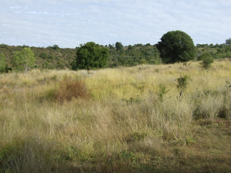 L1 and 2/55 Tarpaulin Road, Haden QLD 4353