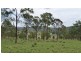 L206 Fitzgerald Road, Cooyar QLD 4402