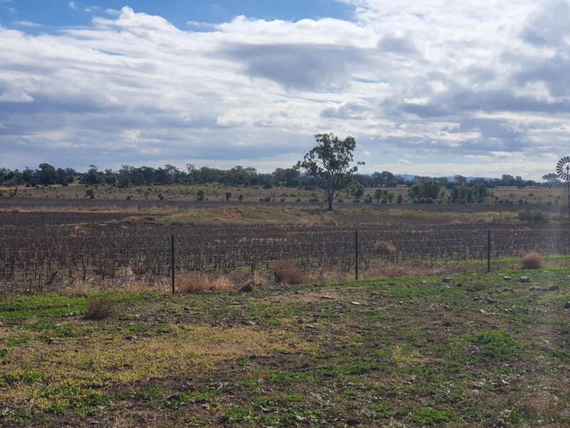 L1 Pechey Maclagan Road, Rosalie Plains QLD 4401