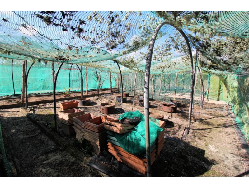 243 Cooyar Rangemoore Road, Cooyar QLD 4402