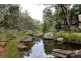 14 Dingo Mountain Road, Crows Nest QLD 4355