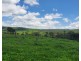 7 Munro Street, Cooyar QLD 4402