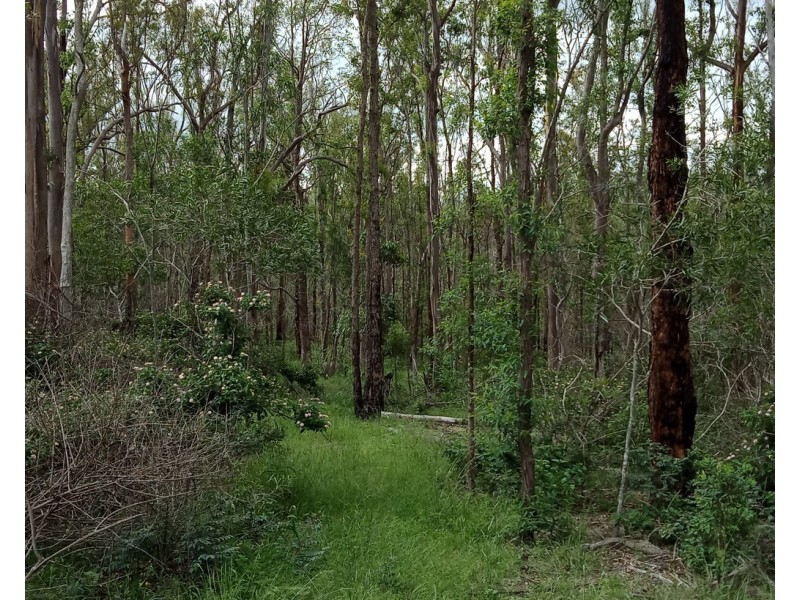 142 Dahl Road, Crows Nest QLD 4355