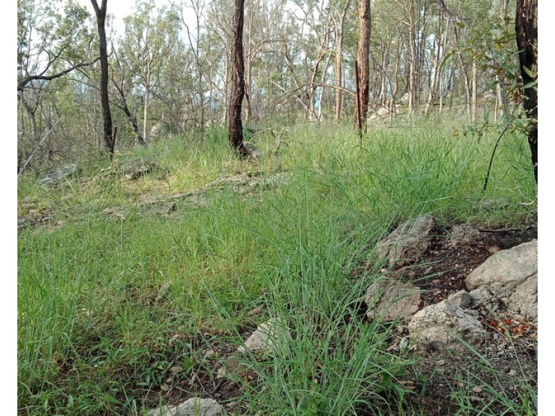 142 Dahl Road, Crows Nest QLD 4355