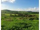 L1 Djuan Road, Haden QLD 4353