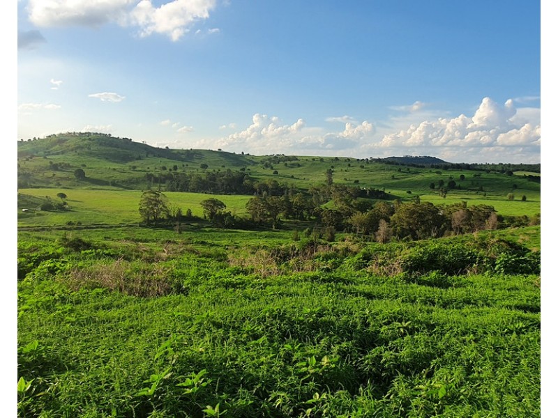L1 Djuan Road, Haden QLD 4353