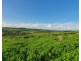 L1 Djuan Road, Haden QLD 4353