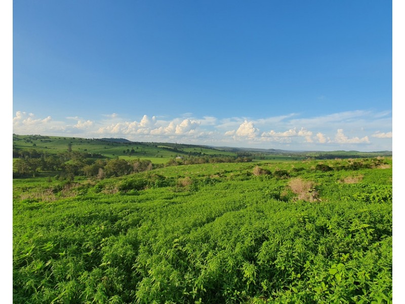 L1 Djuan Road, Haden QLD 4353
