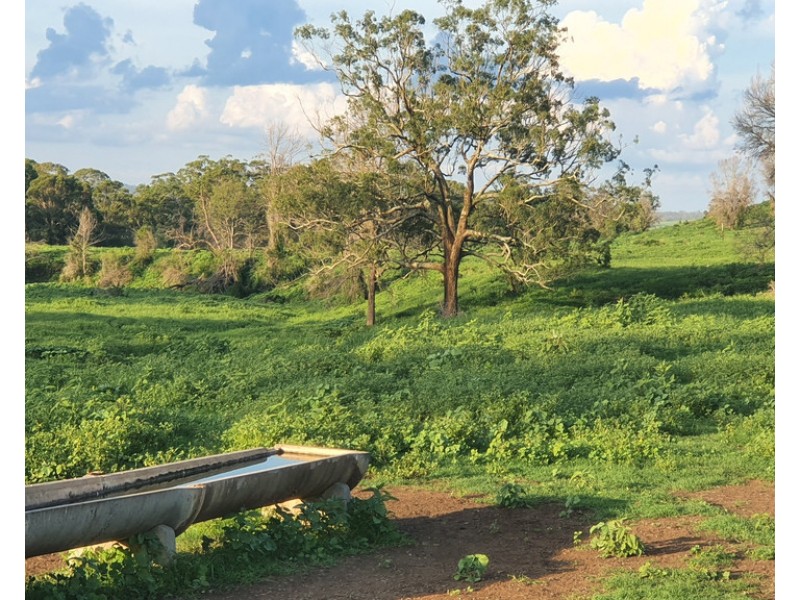 L1 Djuan Road, Haden QLD 4353
