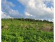 L1 Djuan Road, Haden QLD 4353