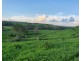 L1 Djuan Road, Haden QLD 4353