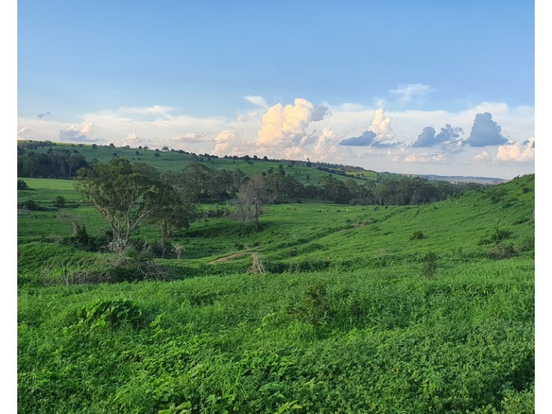 L1 Djuan Road, Haden QLD 4353