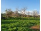 L1 Djuan Road, Haden QLD 4353