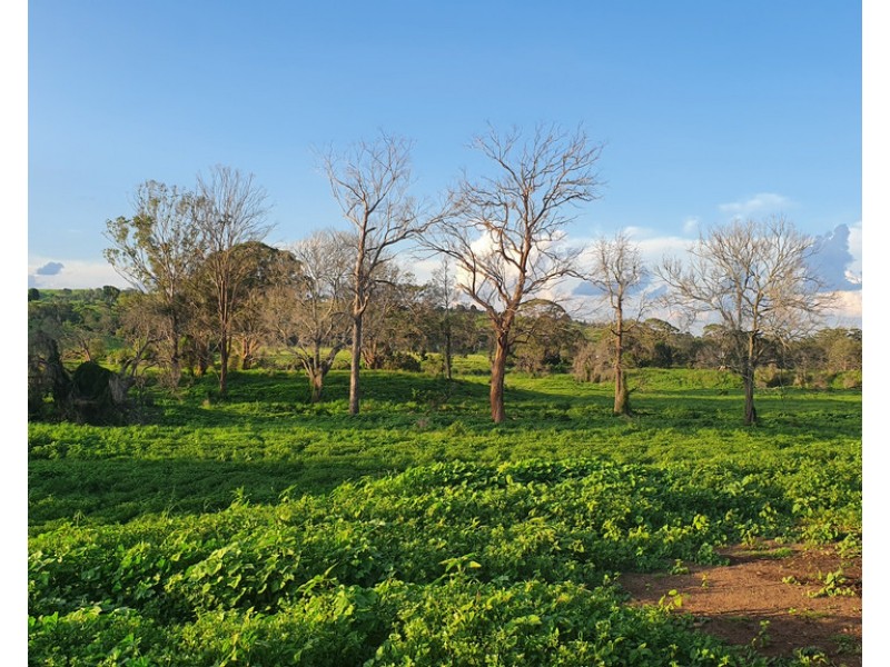 L1 Djuan Road, Haden QLD 4353