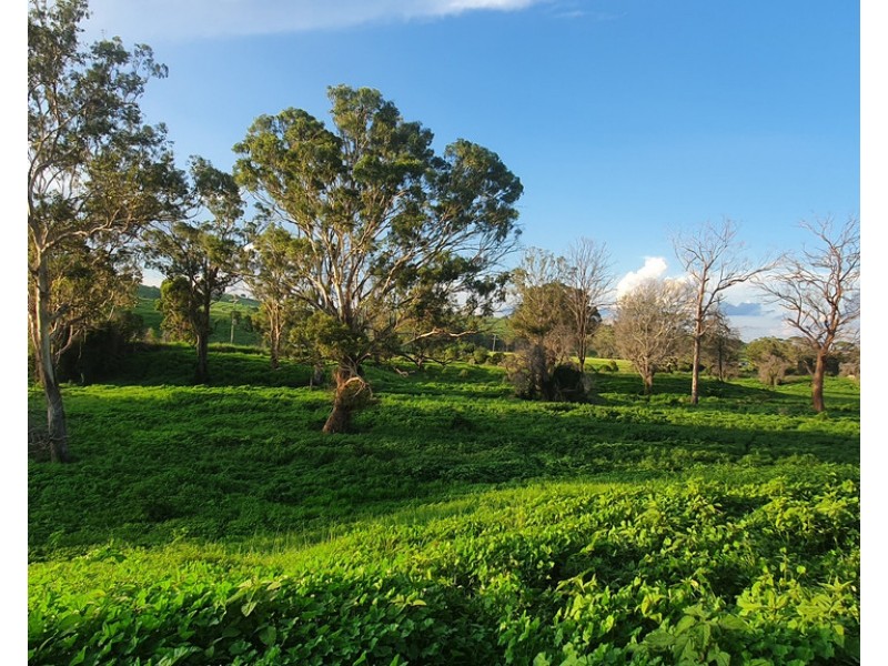 L1 Djuan Road, Haden QLD 4353