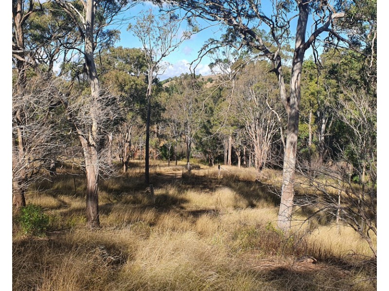 L188 Izzard Road, Whichello QLD 4352