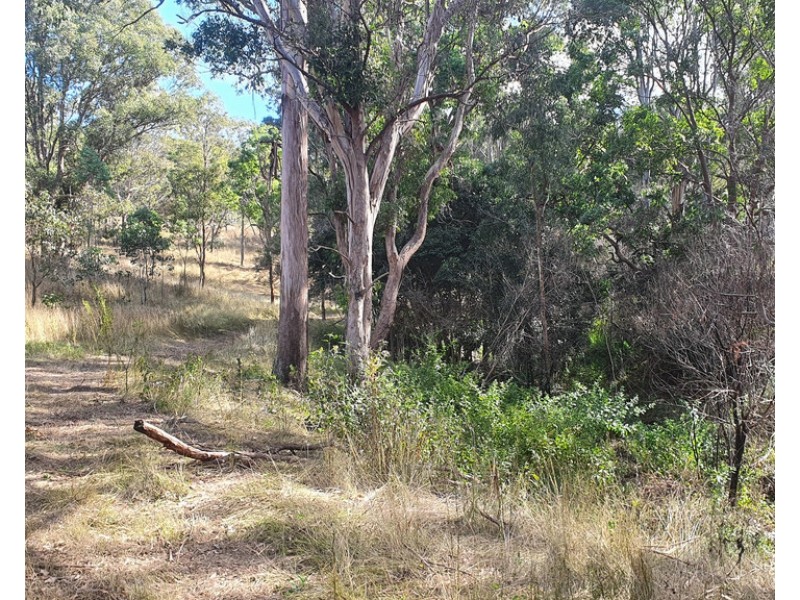 L188 Izzard Road, Whichello QLD 4352