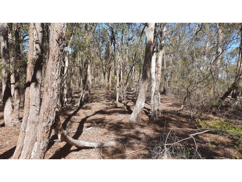 67 Voll Road, Crows Nest QLD 4355