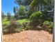 12 Brazier Road, Kleinton QLD 4352