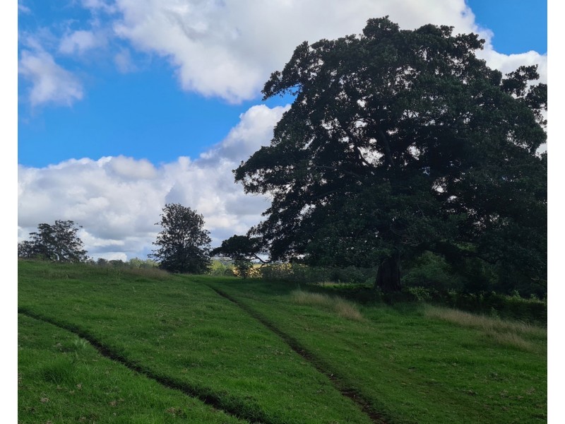 555 National Park Road, Palmtree QLD 4352