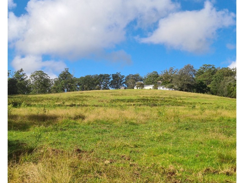 555 National Park Road, Palmtree QLD 4352