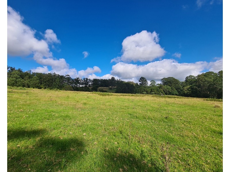 555 National Park Road, Palmtree QLD 4352