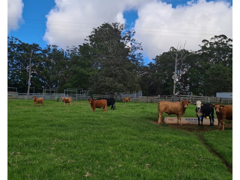 555 National Park Road, Palmtree QLD 4352