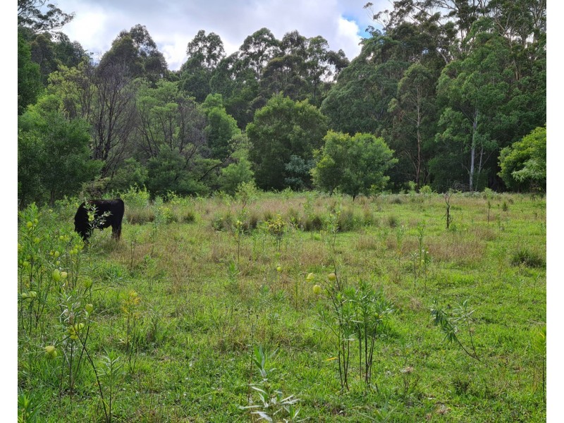 555 National Park Road, Palmtree QLD 4352