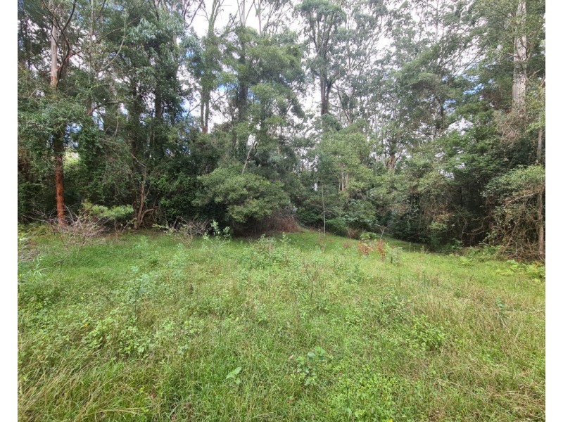 555 National Park Road, Palmtree QLD 4352