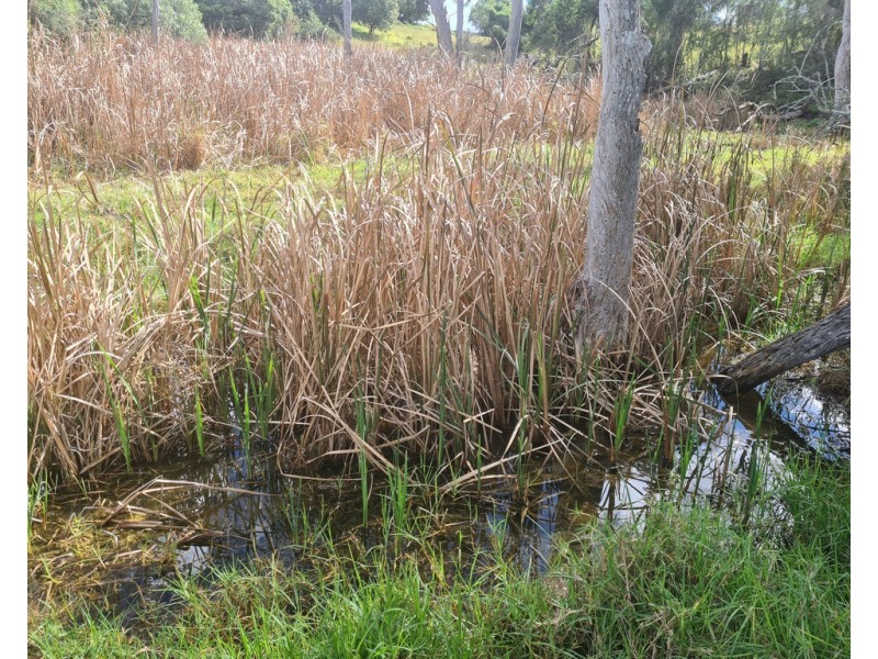 L41 Weelu Road, Bergen QLD 4353