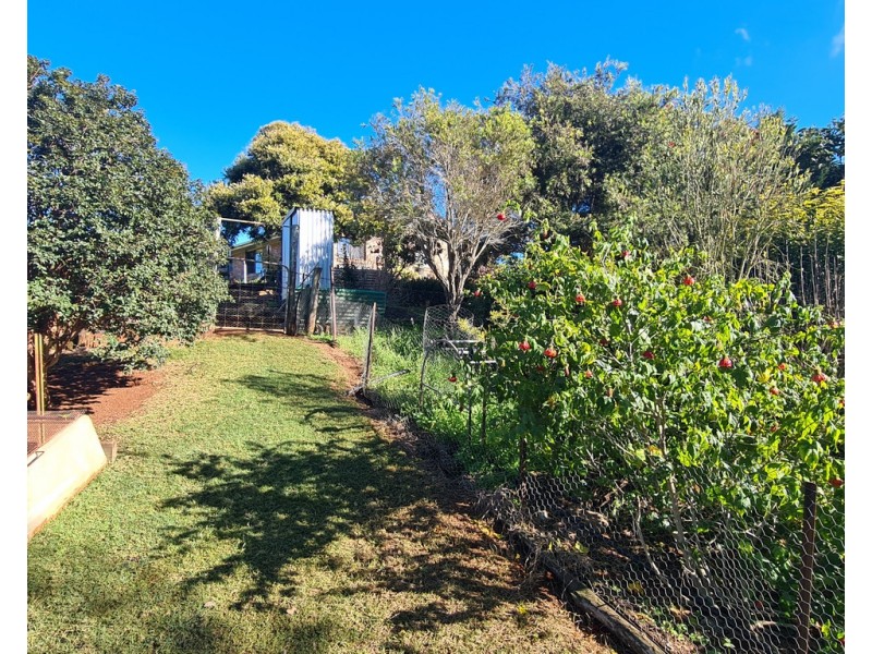 249 Collingwood Road, Hampton QLD 4352