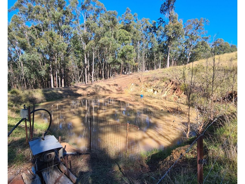 249 Collingwood Road, Hampton QLD 4352