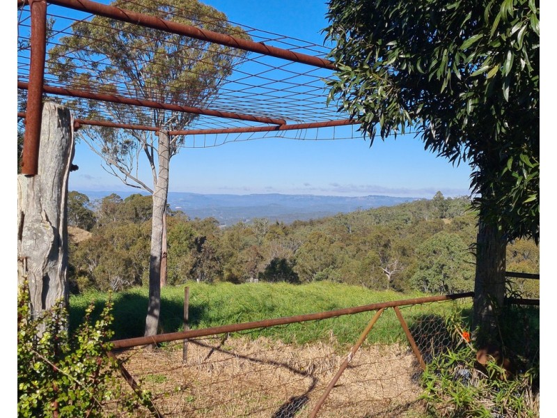 249 Collingwood Road, Hampton QLD 4352