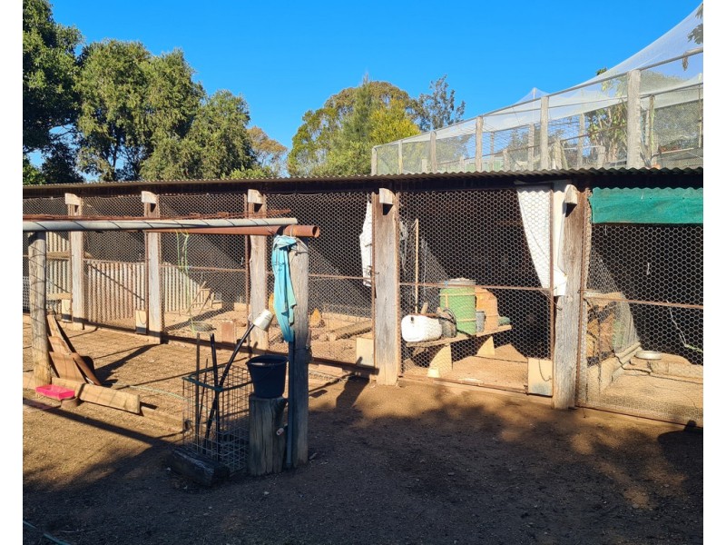 249 Collingwood Road, Hampton QLD 4352