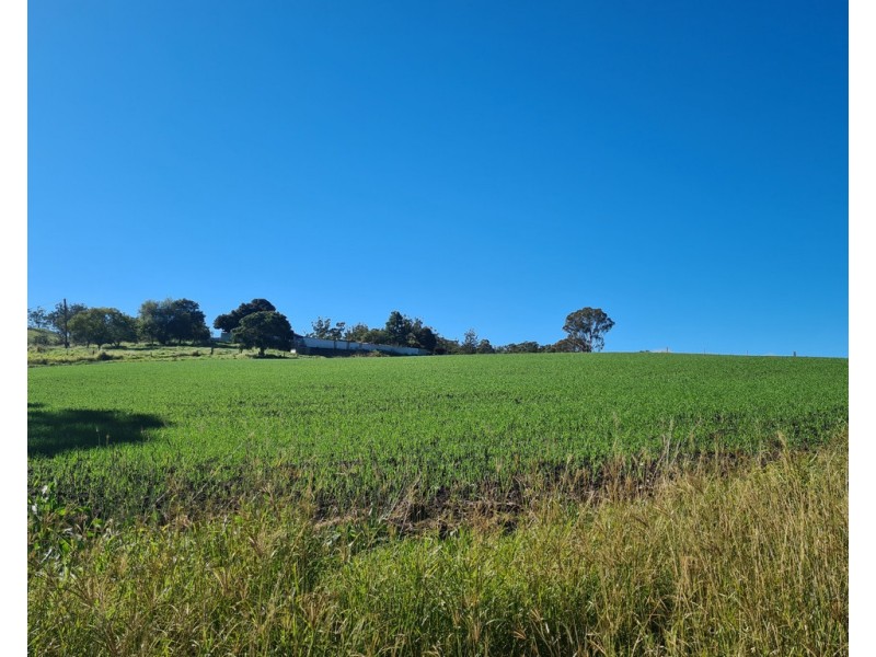 249 Collingwood Road, Hampton QLD 4352