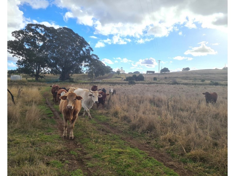 L24 Gomoran-Bergen Road, Bergen QLD 4353