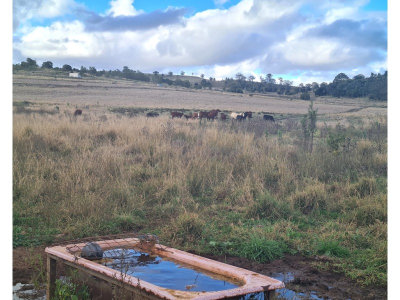 L24 Gomoran-Bergen Road, Bergen QLD 4353