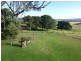209 Pechey Forestry Road, Crows Nest QLD 4355
