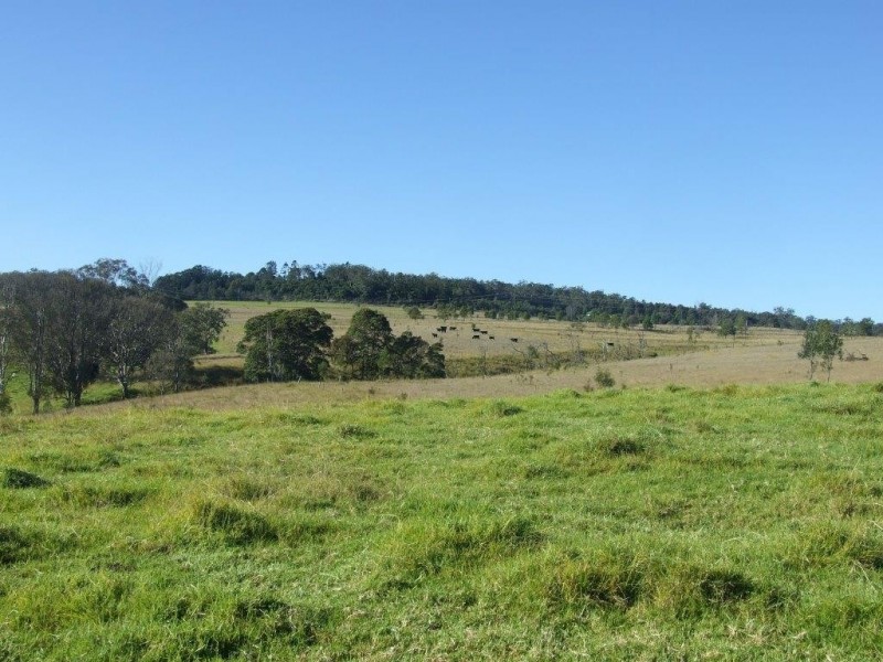 209 Pechey Forestry Road, Crows Nest QLD 4355